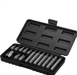 Set de biti torx Wert 2243 15 bucati 