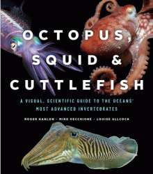 Octopus Squid and Cuttlefish A Visual Scientific Guide to the Oceans Most Advanced Invertebrates 