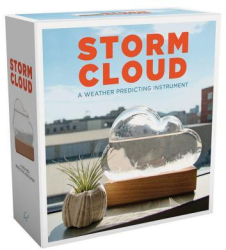 Storm Cloud A Weather Predicting Instrument - Bitten Author