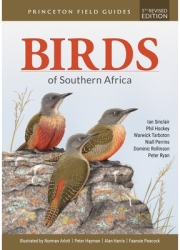 Birds of Southern Africa Fifth Revised Edition - Ian Sinclair Author 