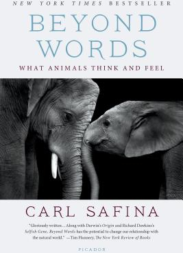 Beyond Words What Animals Think and Feel - Carl Safina Author 