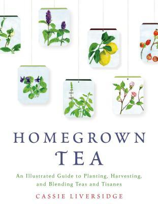 Homegrown Tea An Illustrated Guide to Planting Harvesting and Blending Teas and Tisanes - Cassie Li 
