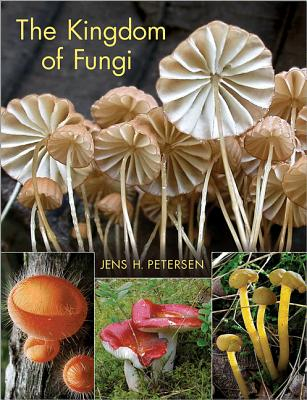 The Kingdom of Fungi - Jens H Petersen Author 
