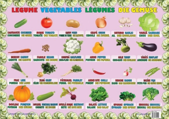 Plansa Legume 