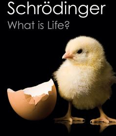 What Is Life With Mind and Matter and Autobiographical Sketches - Erwin Schrodinger Author 