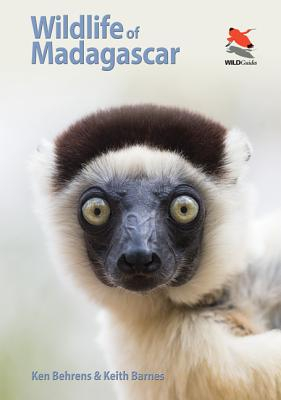 Wildlife of Madagascar - Ken Behrens Author 