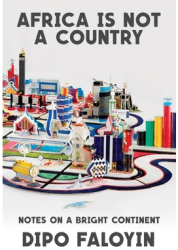 Africa Is Not a Country Notes from a Bright Continent - Dipo Faloyin Author 