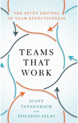 Teams That Work The Seven Drivers of Team Effectiveness - Scott Tannenbaum Author 