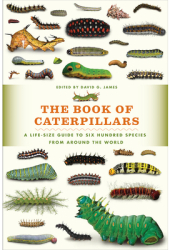 The Book of Caterpillars A Life-Size Guide to Six Hundred Species from Around the World - David G Ja 