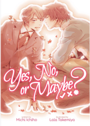 Yes No or Maybe Light Novel - Michi Ichiho Author 