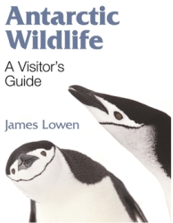 Antarctic Wildlife A Visitor s Guide - James Lowen Author 