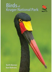 Birds of Kruger National Park - Keith Barnes Author