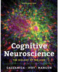 Cognitive Neuroscience The Biology of the Mind - Michael Gazzaniga Author 