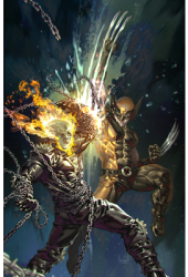 Ghost Rider Vol 2 Shadow Country - Brent Peeples Illustrator 