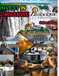 INVEST IN ZIMBABWE - Visit Zimbabwe - Celso Salles Invest in Africa Collection - Celso Salles Author 