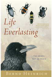 Life Everlasting The Animal Way of Death - Bernd Heinrich Author 