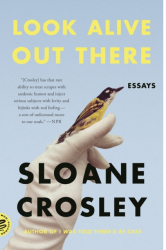 Look Alive Out There Essays - Sloane Crosley Author 