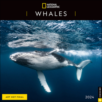 National Geographic Whales 2024 Wall Calendar - National Geographic Author 
