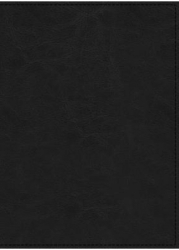 Niv Maxwell Leadership Bible 3rd Edition Leathersoft Black Comfort Print - John C Maxwell Edito 