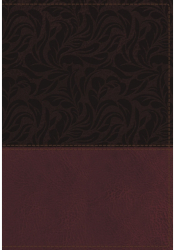 NKJV Study Bible Imitation Leather Red Full-Color Red Letter Edition Indexed Comfort Print The 