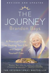 The Journey A Practical Guide to Healing Your Life and Setting Yourself Free - Brandon Bays Author 