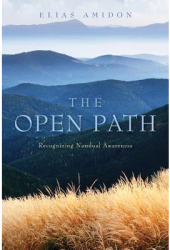 The Open Path Recognizing Nondual Awareness - Elias Amidon Author 