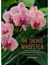 The Orchid Whisperer Expert Secrets for Growing Beautiful Orchids - Bruce Rogers Author 