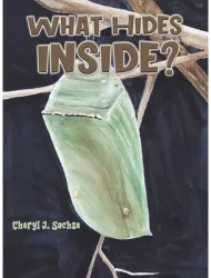 What Hides Inside - Cheryl J Sachse Author 
