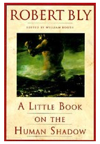 A Little Book on the Human Shadow - Robert W Bly 