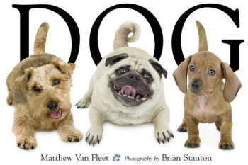 Dog - Matthew Van Fleet 
