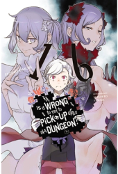 Is It Wrong to Try to Pick Up Girls in a Dungeon Vol 16 Light Novel - Fujino Omori Author 