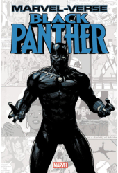 Marvel-Verse Black Panther - Jeff Parker Text by Art Photo Boo 