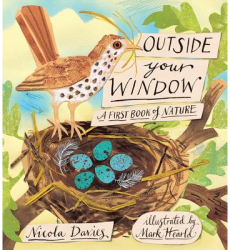 Outside Your Window A First Book of Nature - Nicola Davies Author 