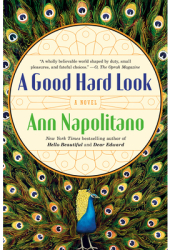 A Good Hard Look A Novel of Flannery O Connor - Ann Napolitano Author 