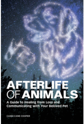 Afterlife of Animals A Guide to Healing from Loss and Communicating with Your Beloved Pet - Candi Can 
