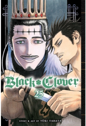 Black Clover Vol 25 Volume 25 - Yuki Tabata Author 