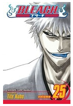 Bleach Volume 25 - Tite Kubo 