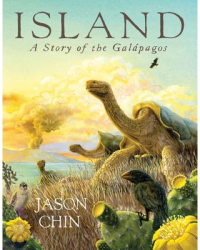 Island A Story of the Galapagos - Jason Chin Author 