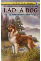 Lad A Dog - Albert Payson Terhune Alfred Payso 