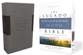 Niv Lucado Encouraging Word Bible Gray Cloth Over Board Comfort Print Holy Bible New Internation 