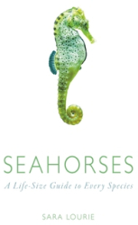 Seahorses A Life-Size Guide to Every Species - Sara Lourie Author 