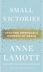Small Victories Spotting Improbable Moments of Grace - Anne Lamott Author 