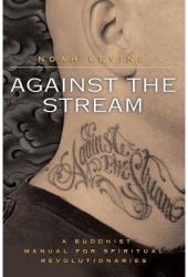 Against the Stream A Buddhist Manual for Spiritual Revolutionaries - Noah Levine 