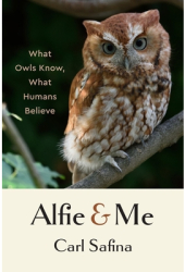 Alfie and Me What Owls Know What Humans Believe - Carl Safina Author 