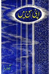 Apni Mauj mein Humorous Essays - Aawara Hyedrabadi Author 