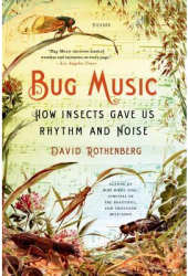 Bug Music How Insects Gave Us Rhythm and Noise - David Rothenberg Author 