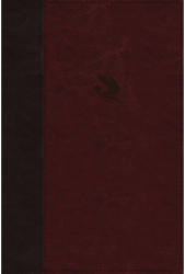 Complete Word Study Old Testament - Jack W Hayford Editor 
