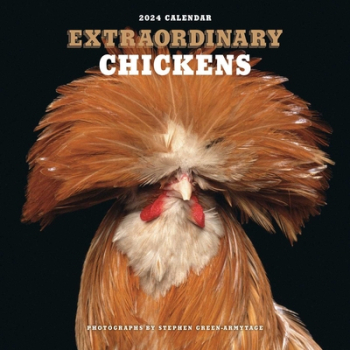 Extraordinary Chickens 2024 Wall Calendar - Stephen Green-Armytage Author 