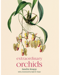 Extraordinary Orchids - Sandra Knapp Author 