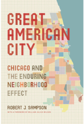 Great American City Chicago and the Enduring Neighborhood Effect - Robert J Sampson Author 